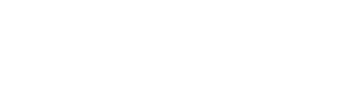 Valley Pure logo